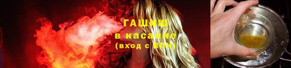 сатива Волоколамск