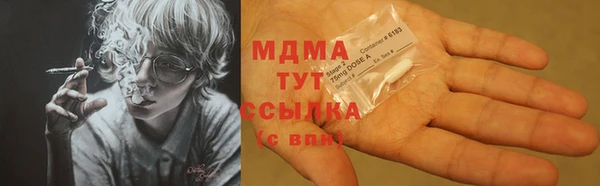 сатива Волоколамск