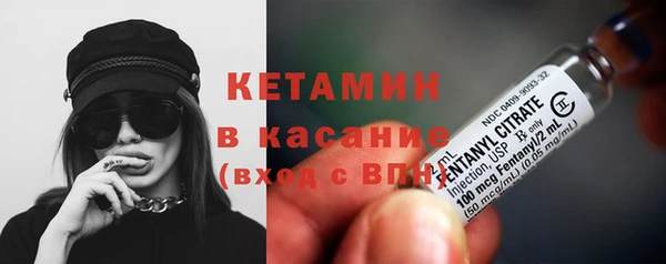 сатива Волоколамск