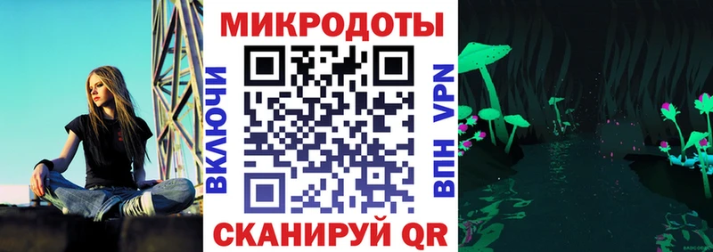сколько стоит  мега   Псилоцибиновые грибы мицелий  Нея 